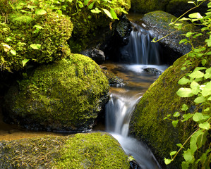 Mountain stream