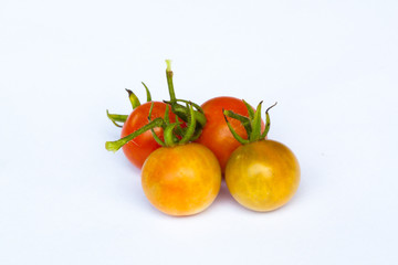 tomato