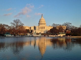Fototapeta premium Capitol Building Congress Washington DC USA