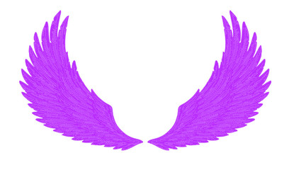Obraz na płótnie Canvas purple wings