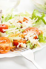 Closeup of salad. Lettuce, tomato, cucumber