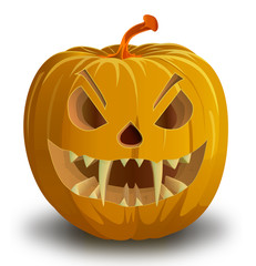pumpkin isolated on white. vector illustration