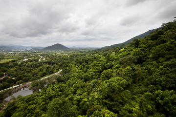 jungles of Vietnam