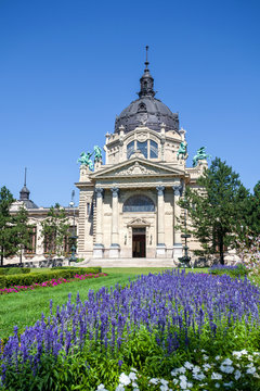 Thermal Baths And Spa, Budapest