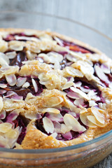 Plum cake close up