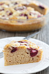 A piece of plum cake
