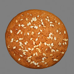Biscuit