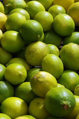 Green Limes
