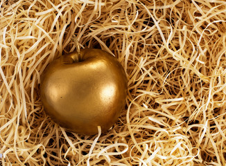 The Midas touch - golden apple, protected investment