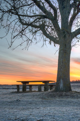 Fototapeta na wymiar Sunrise table and bench