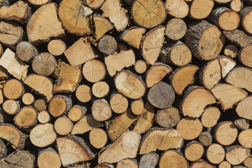 Firewood