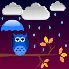 Blue owl under the rain