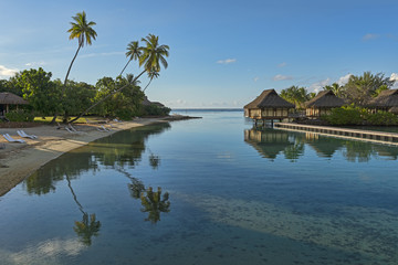 Fototapeta na wymiar Französisch-Polynesien-Moorea-6458
