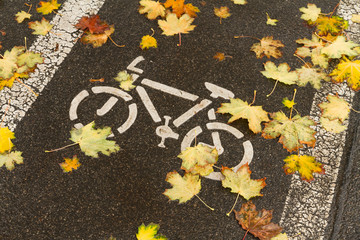 Fahrradweg im Herbst