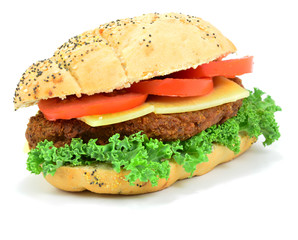 Isolated Chicken Burger