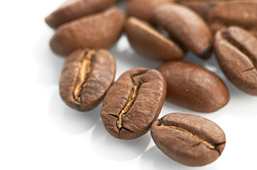 Macro of coffee beans isolated on white background