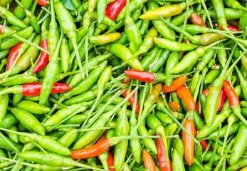 Chilli