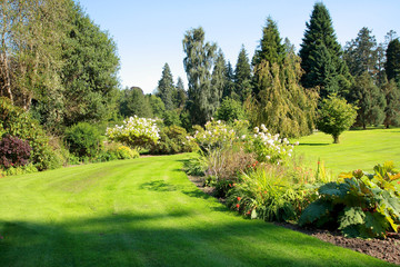 Fototapeta na wymiar Beautiful garden in the park