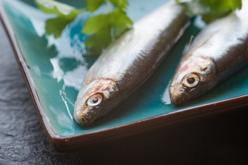 Fresh tasty raw sprats on serving dish