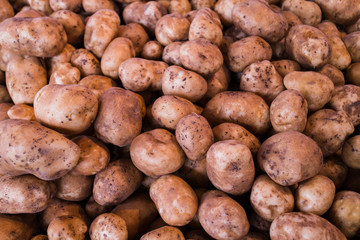 fresh potatoes at market