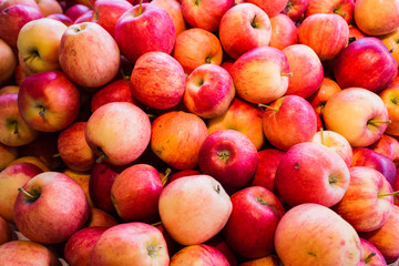 Fototapeta na wymiar red delicous apples at market