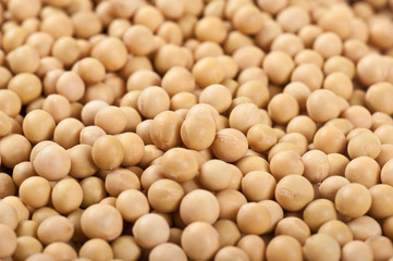 Soybeans