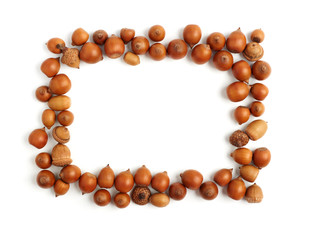 empty frame of acorns