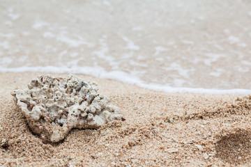 Coral Bay