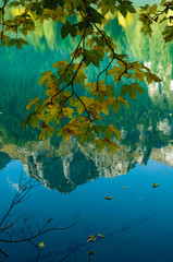 Fototapeta na wymiar lake in a forest