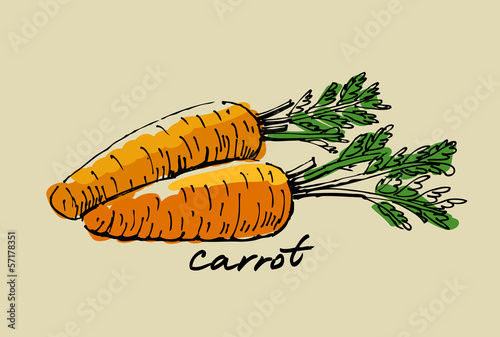 "hand drawn carrot" Stock image and royalty-free vector files on