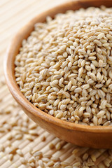 Barley