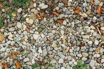 Autumn leaves over gravel