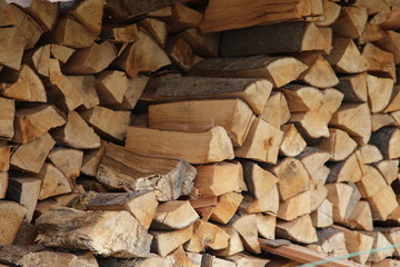 Holz - Wood