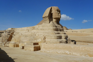 Sphinx du Caire