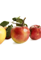Organic red apples.