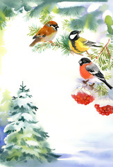 Two birds and bullfinch on the snowy branch