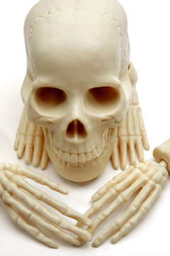Calavera
