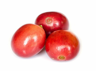 red ripe coffee beans.