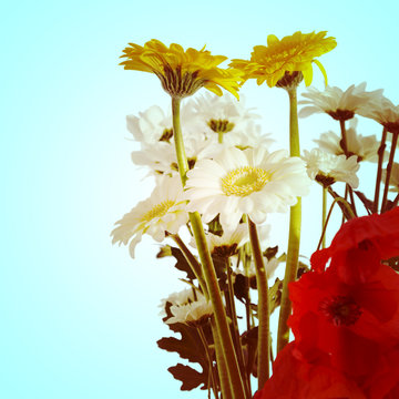 Fototapeta Bunch of flowers against light blue background