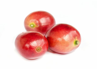 red ripe coffee beans.