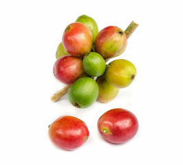 red ripe coffee beans.