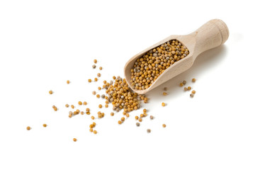 mustard seeds in a wooden scoop © Diana Taliun