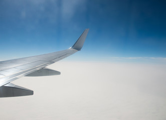 Fototapeta premium flying