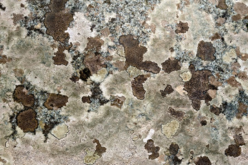 Granite mottled brown