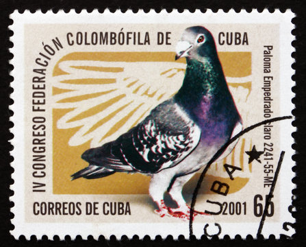 Postage stamp Cuba 1997 Pigeon, Empedrado Claro