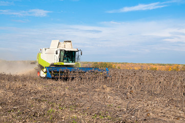 Sunflower harvesting combine in the field