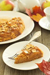 Piece of apple pie
