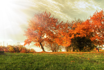 Autumn landscape