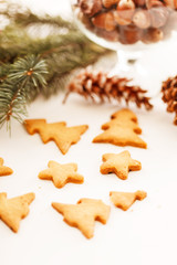 Obraz na płótnie Canvas Christmas cookies