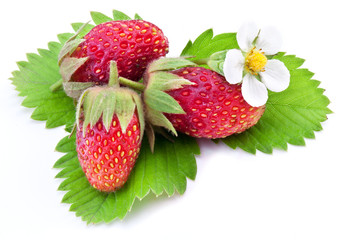 One rich strawberry fruit isolated on a white.